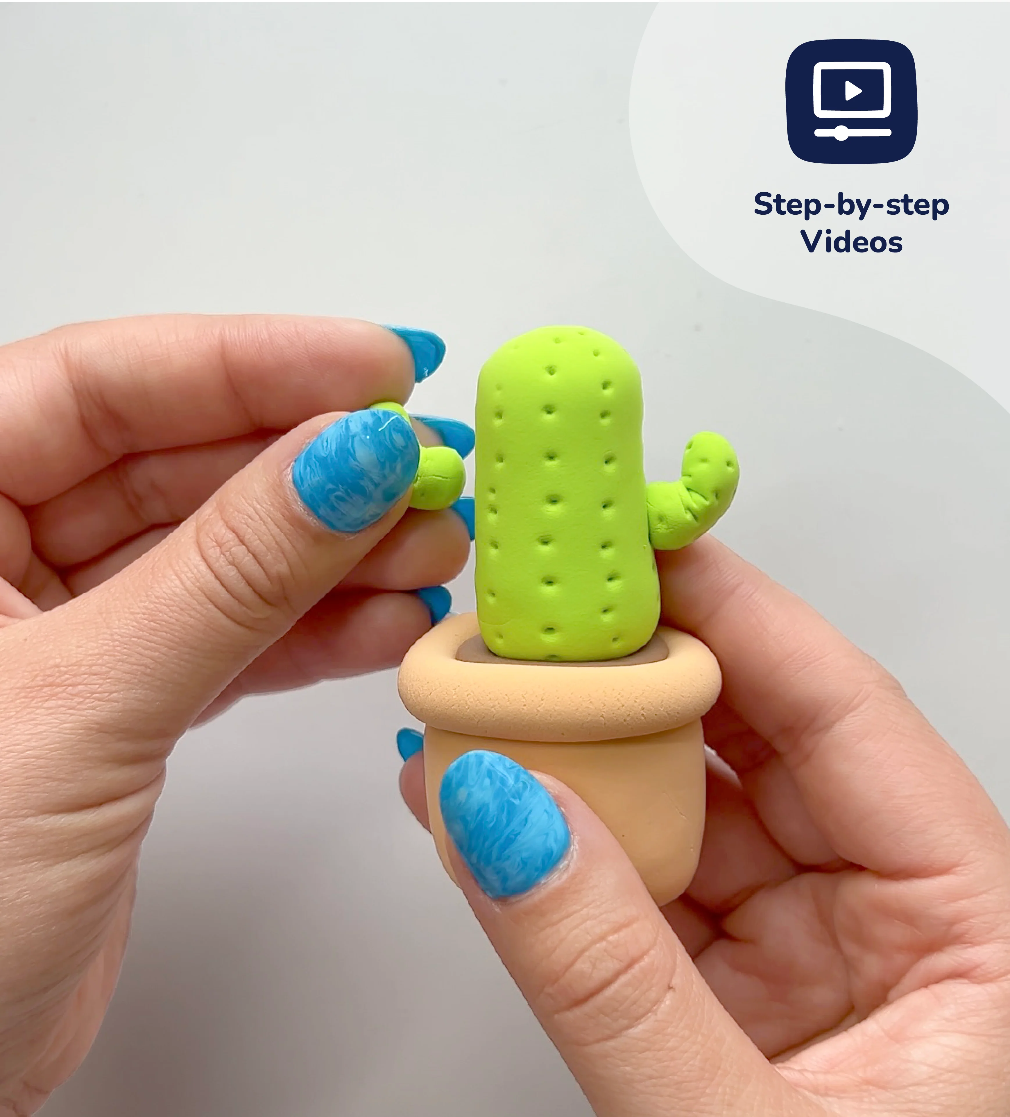 Buds & Blooms: Cactus - Image 6