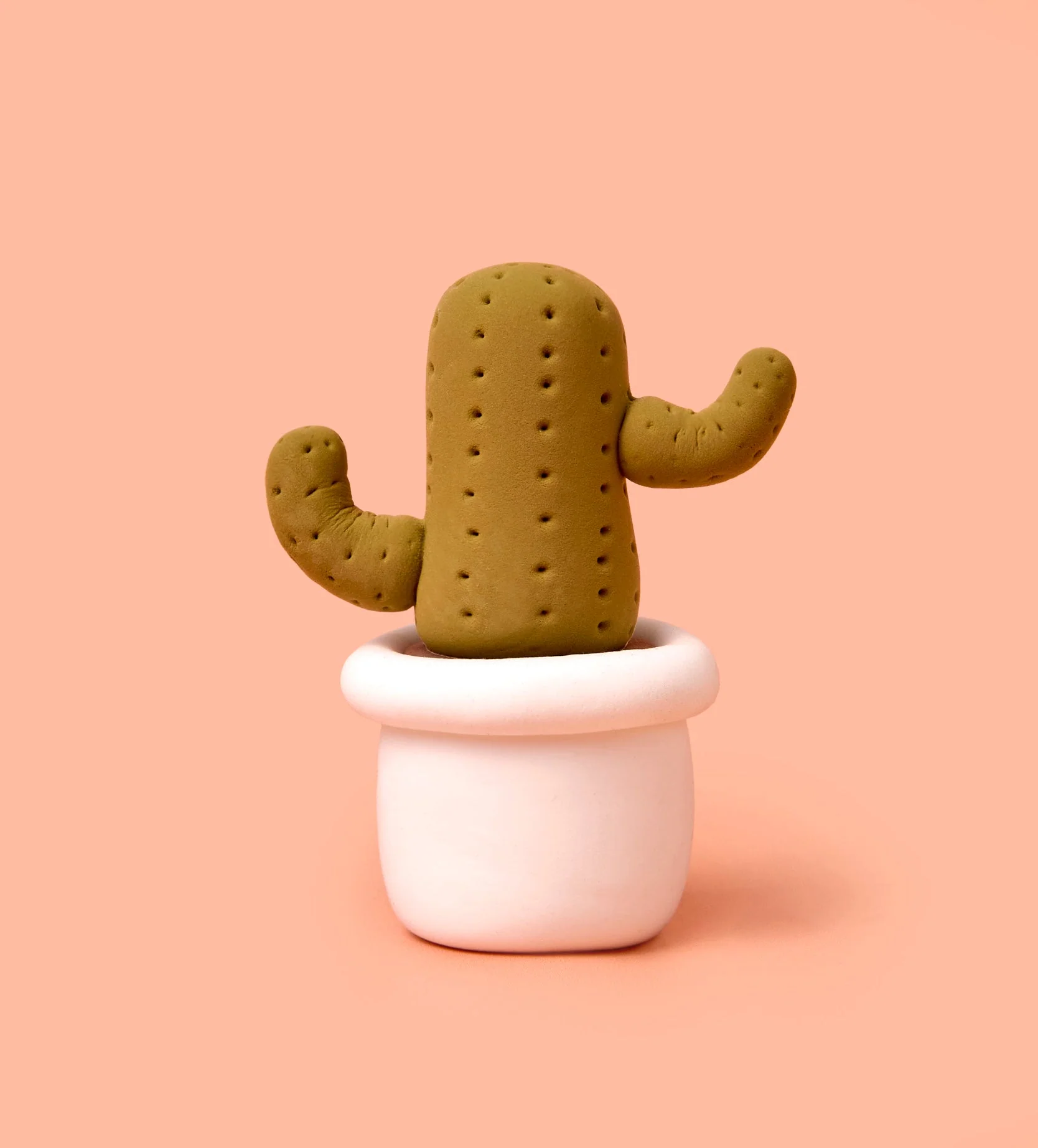 Buds & Blooms: Cactus - Image 8