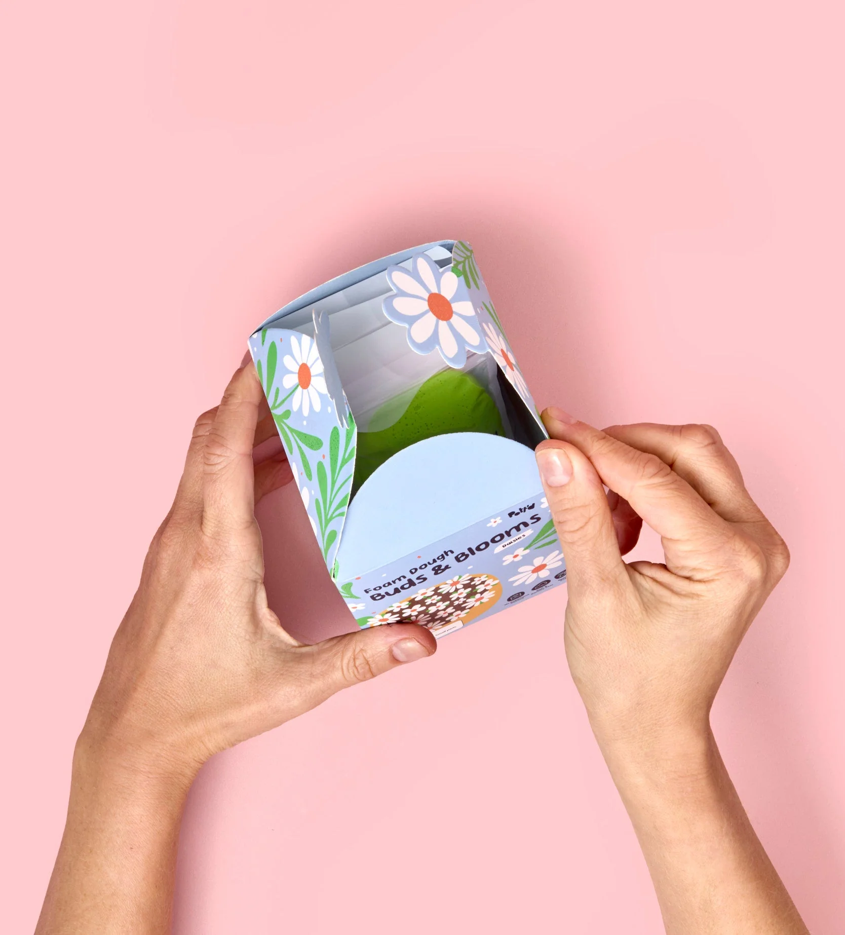 Buds & Blooms: Daisies - Image 9