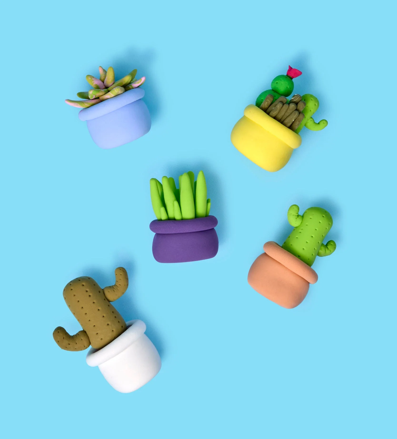 Buds & Blooms: Succulents - Image 10