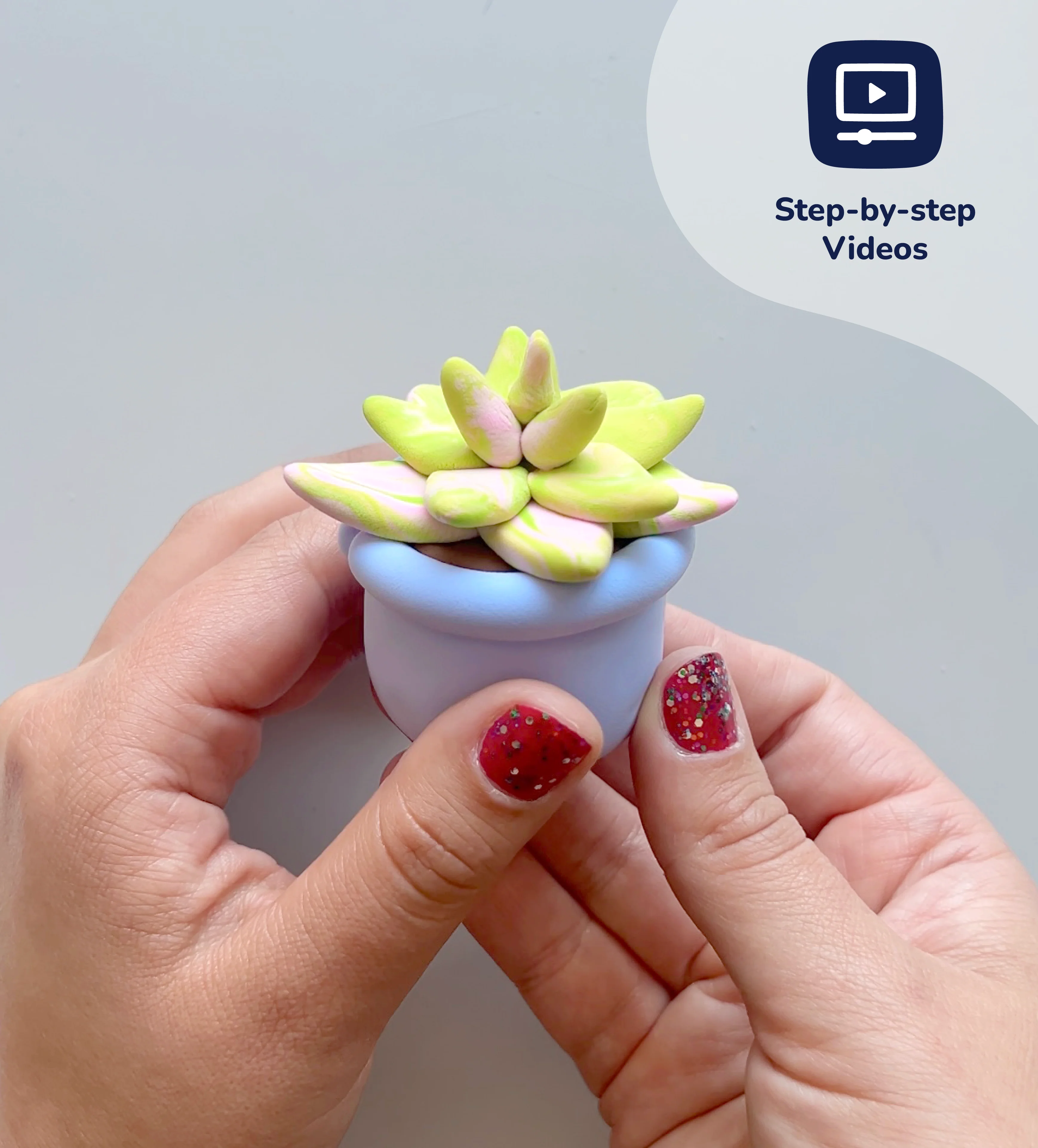 Buds & Blooms: Succulents - Image 6