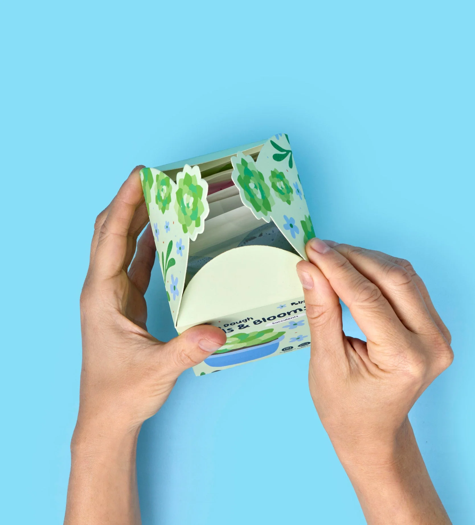 Buds & Blooms: Succulents - Image 9