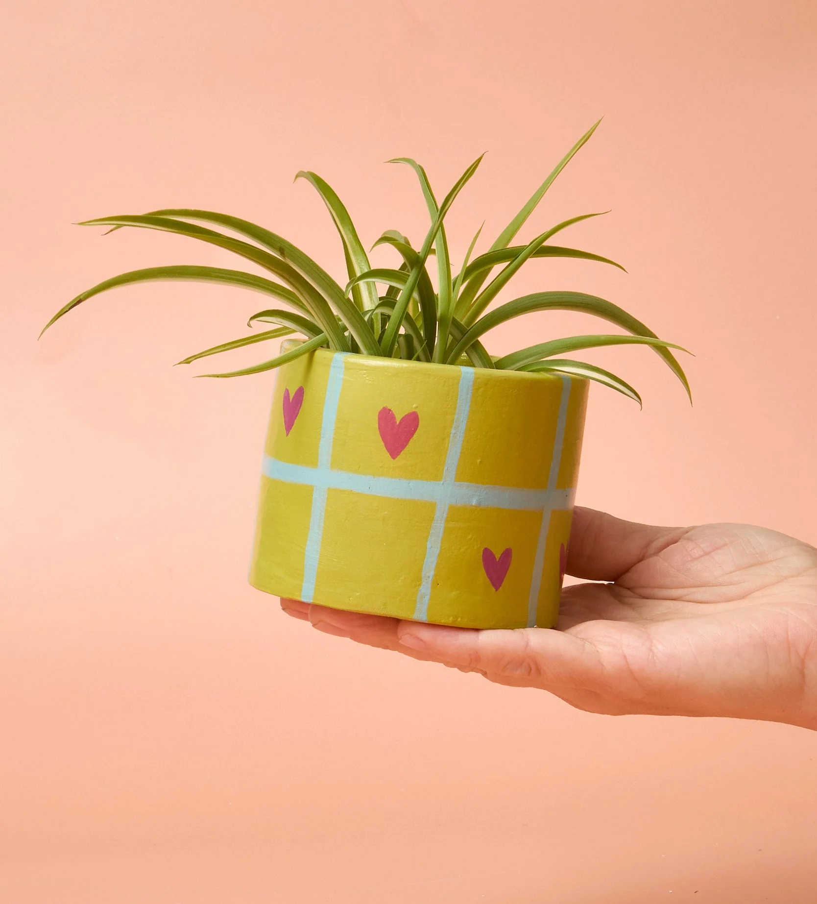 Home Pottery Kit - Image 117