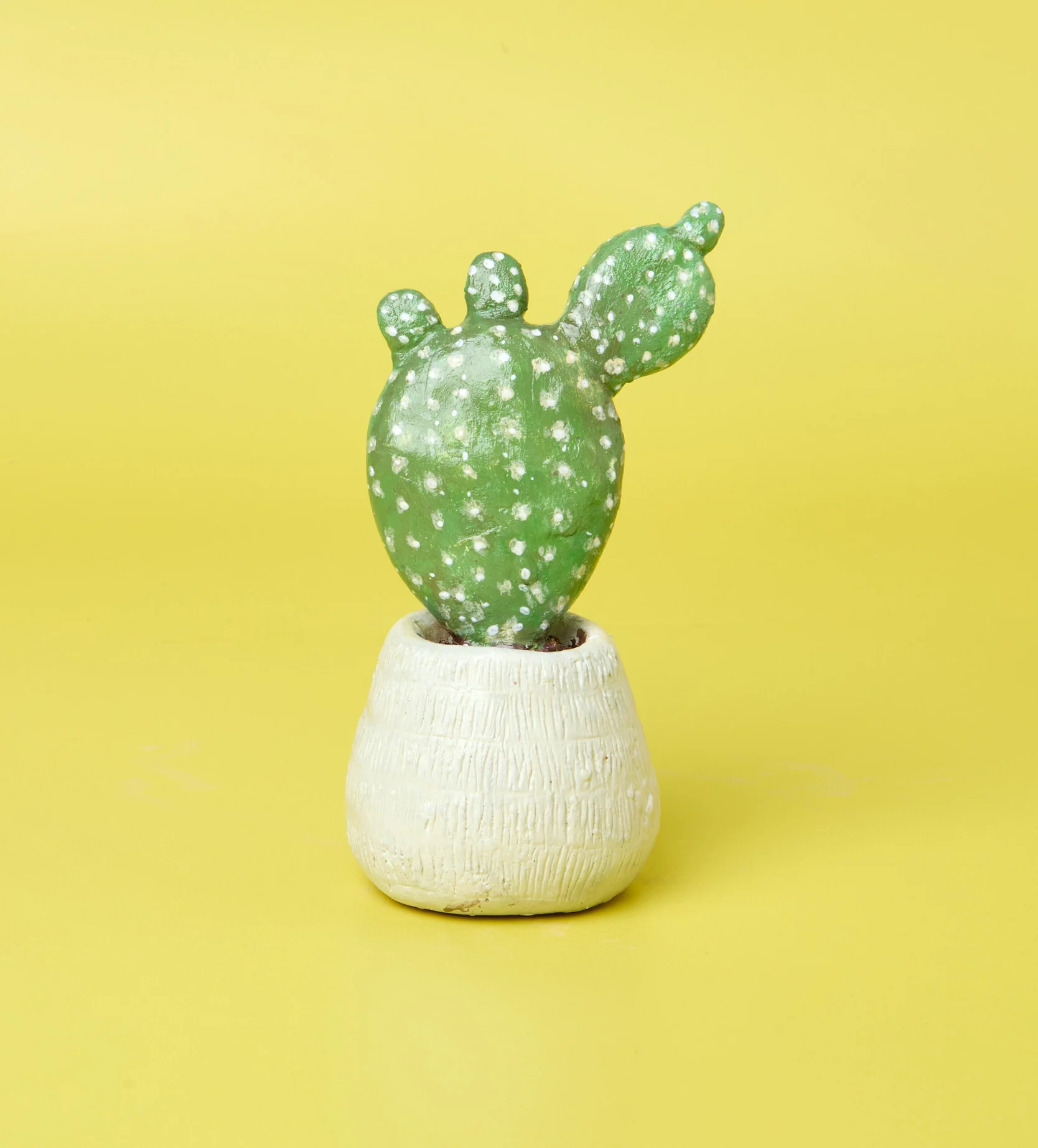 Succulent Sculptures - Image 9