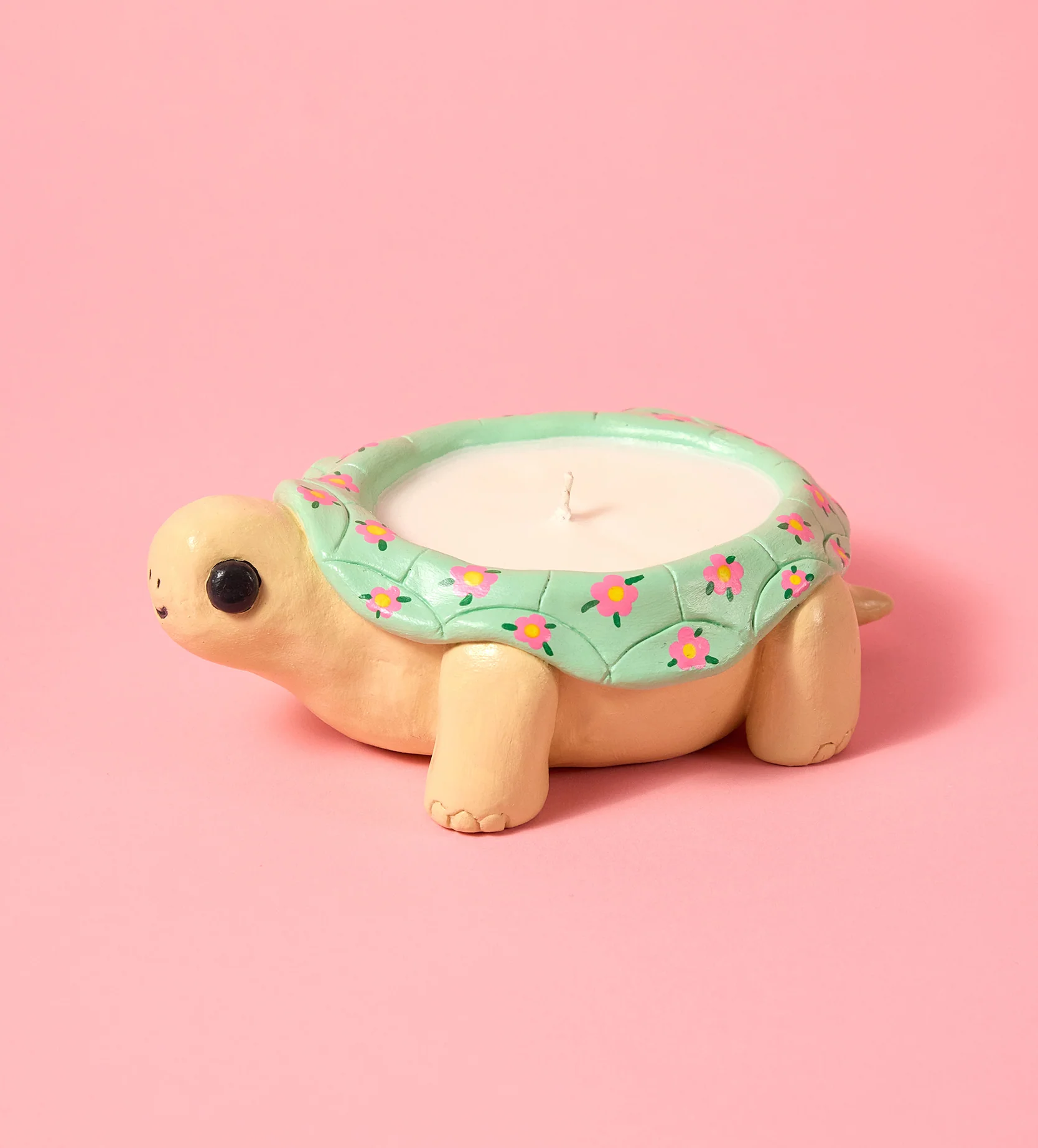 Ted the Turtle - Image 6